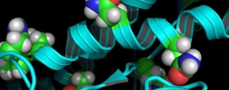 Simulação de uma proteína