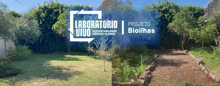 Bioisland project