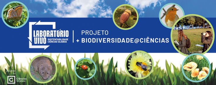 Projeto +Biodiversidade