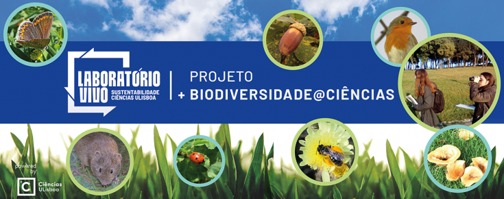 +Biodiversity