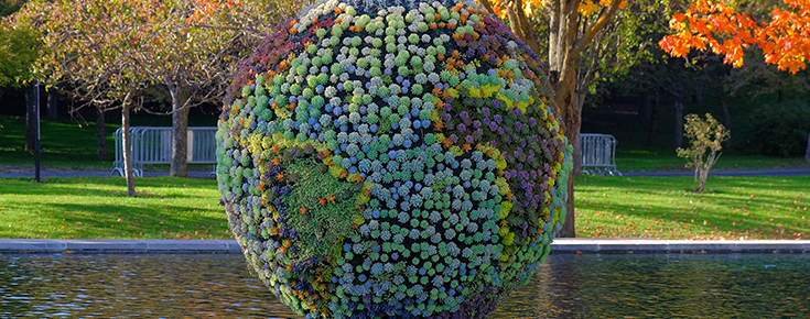 Seminário Doutoral III "Descobrindo a base molecular da adaptação em espécies distribuídas ao longo de um gradiente climático: ligando os genomas e as proteínas ao ambiente" Estátua representativa da biodiversidade do planeta Terra