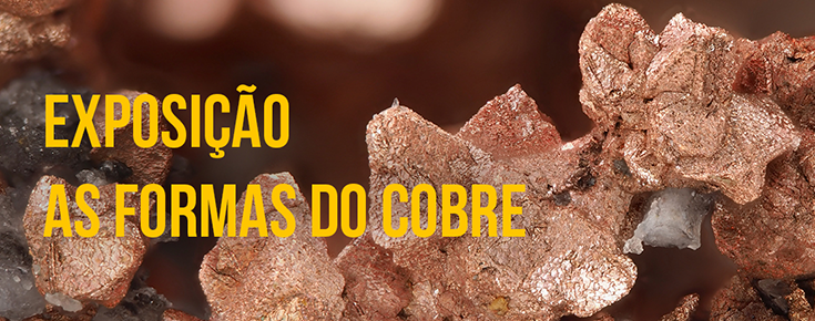 Inauguração da Exposição "As Formas do Cobre"