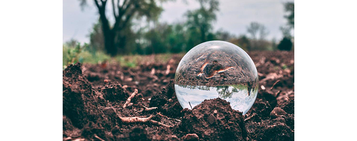 Cursos Avançados CE3C 2025-2026 "Soil ecology and ecosystem services" Bola de cristal colocada no solo