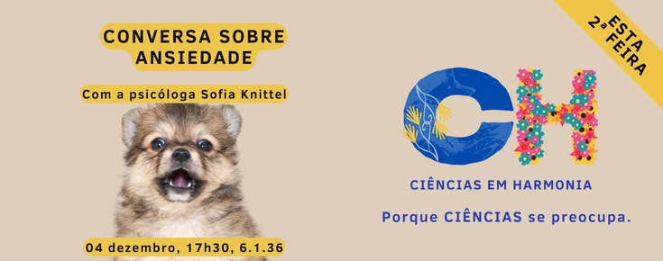 Logótipo do projeto, título/data do evento e fotografia de cão com um ar aparentemente ansioso