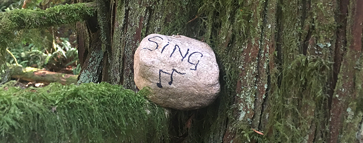 Picture of a rock next to a tree, with the word "Sing"