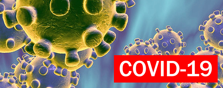 COVID-19 Representation of the SARS-COV-2 virus