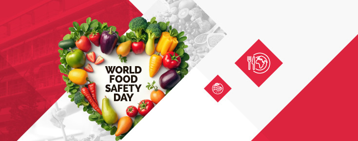 Dia Mundial da Segurança dos Alimentos Fotografia de alimentos