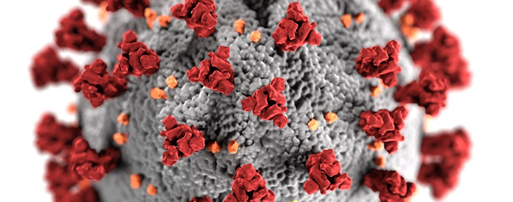 COVID-19 Representation of the SARS-COV-2 virus