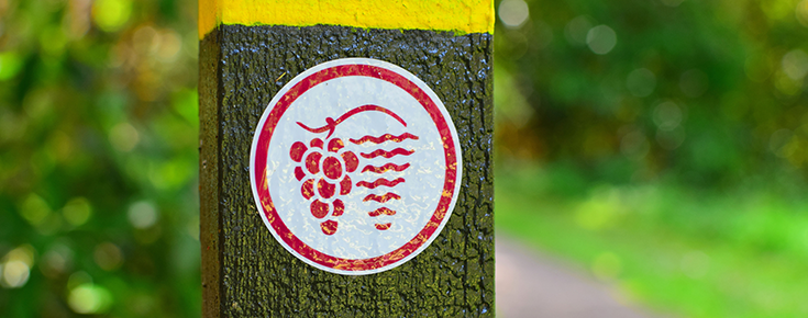 Fotografia de placa de identificação de zona de plantação de vinha