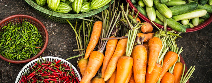 Fotografia de vegetais diversos