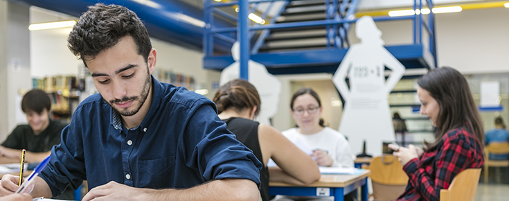 Faculty students, studying in the Library