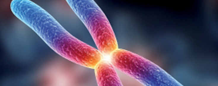 Seminário de Projeto de Investigação (Doutoramento em Biologia) "Unraveling the Cellular and Molecular Onset of LAMA2-Congenital Muscular Dystrophy" Representação de DNA