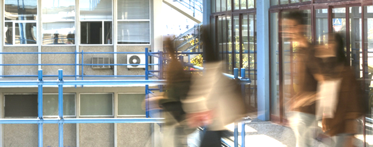 Fotografia de estudantes de Ciências ULisboa