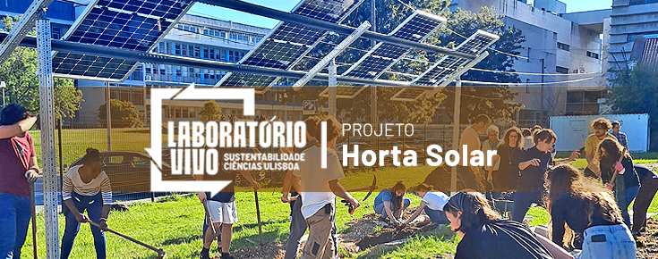 Projeto Horta Solar