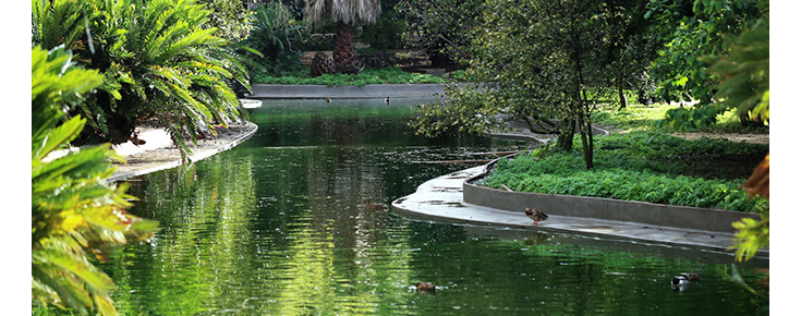 Fotografia do Jardim Botânico Tropical