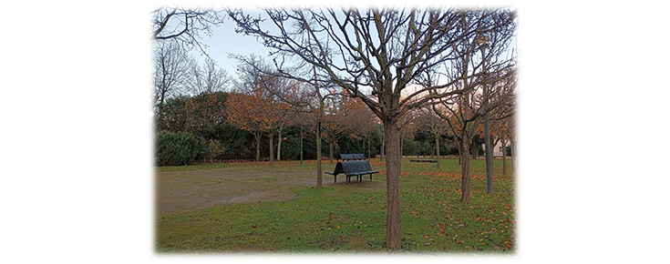 Fotografia de árvores sem folhas e de bancos de jardim