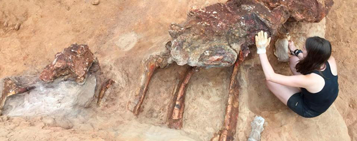 Paleontologia - jovem a examinar fóssil