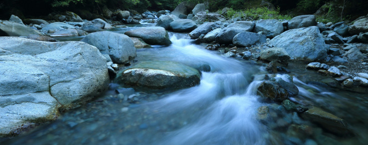 Rios e espécies endémicas abrangidos por protocolo entre CIÊNCIAS e Zoomarine Um rio em Portugal
